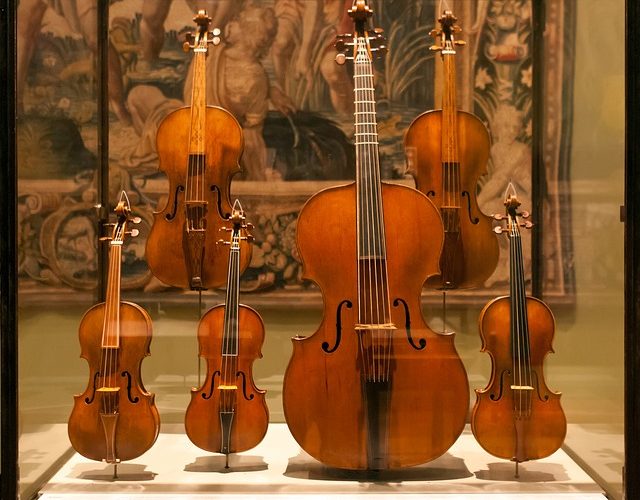 display case of violin family collection